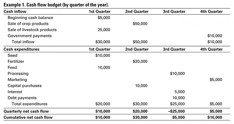 Cash flow management strategies :small business cash flow budget example