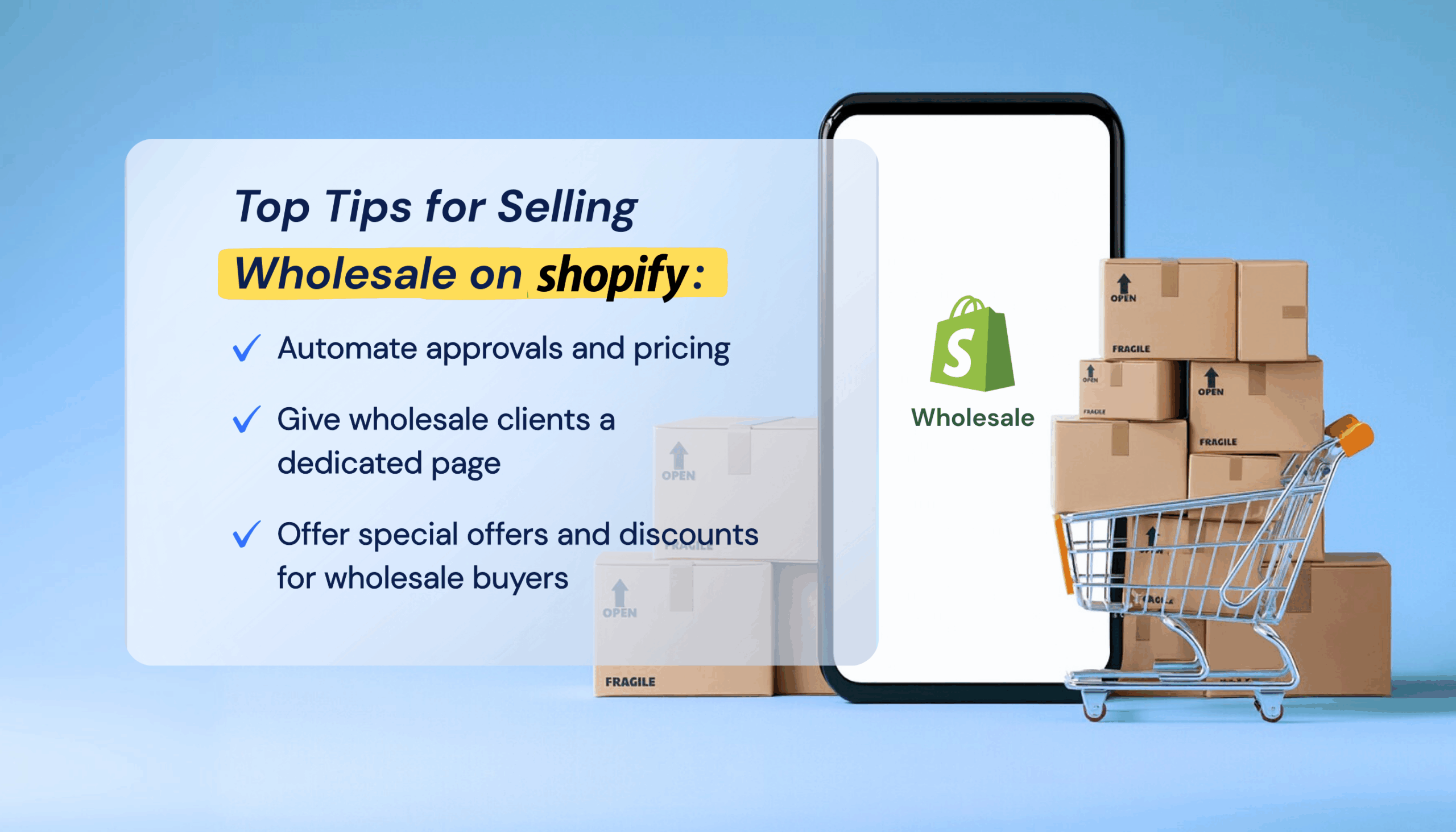 Shopify Wholesale Tips